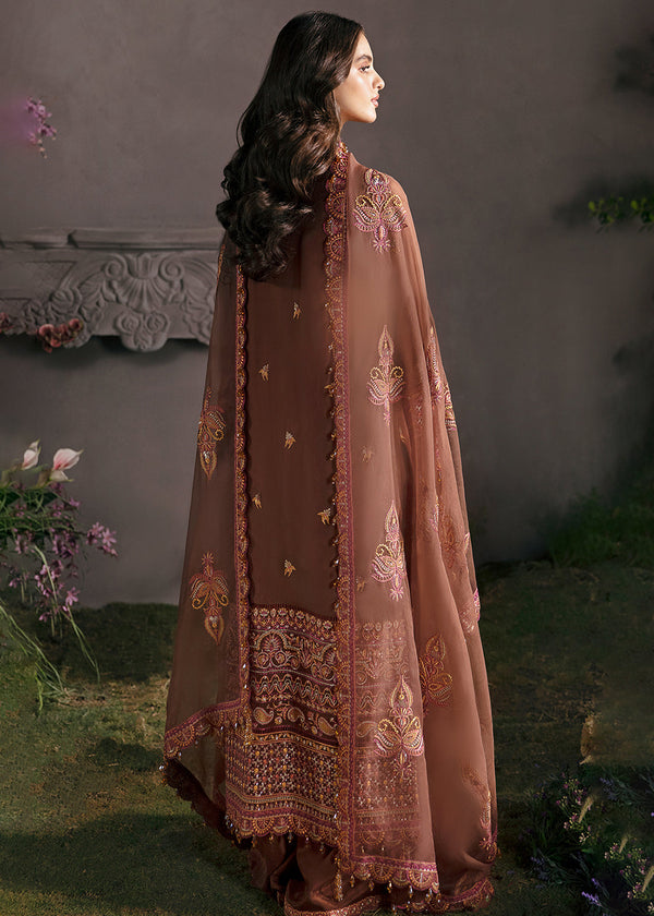 D10-MAHOGANY-B.jpg